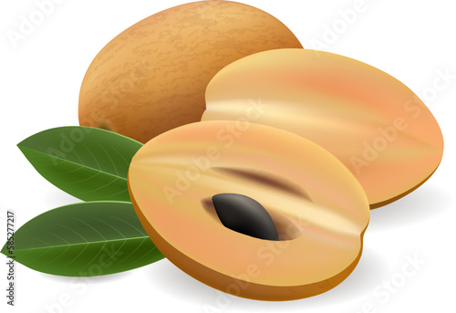 Manilkara zapota fruits