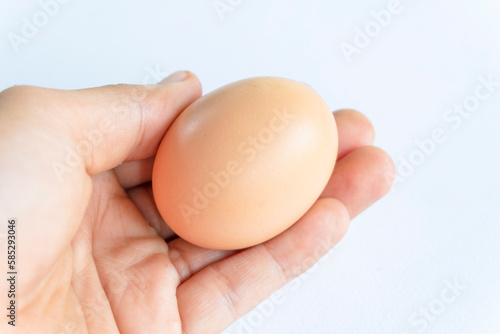 Hand holding an egg on a white background