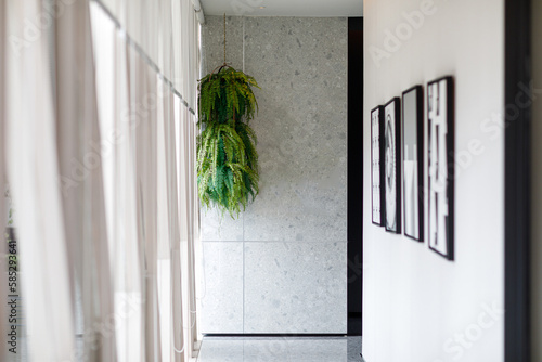 Boston fern (Nephrolepis exaltata Bostoniensis) artificial fake tree growing in pot. Beautiful fresh green fern hangs on the white background, copy space for text photo