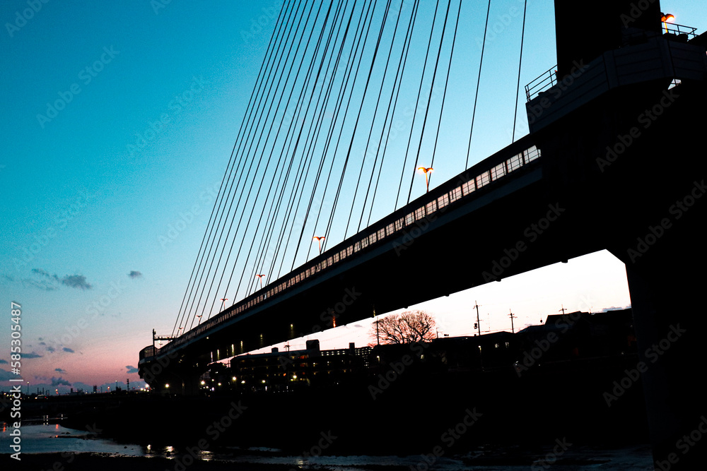 Fototapeta premium bridge