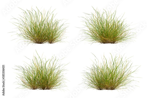 Green grass cut out on transparent background, nature meadow, 3d render illustration.