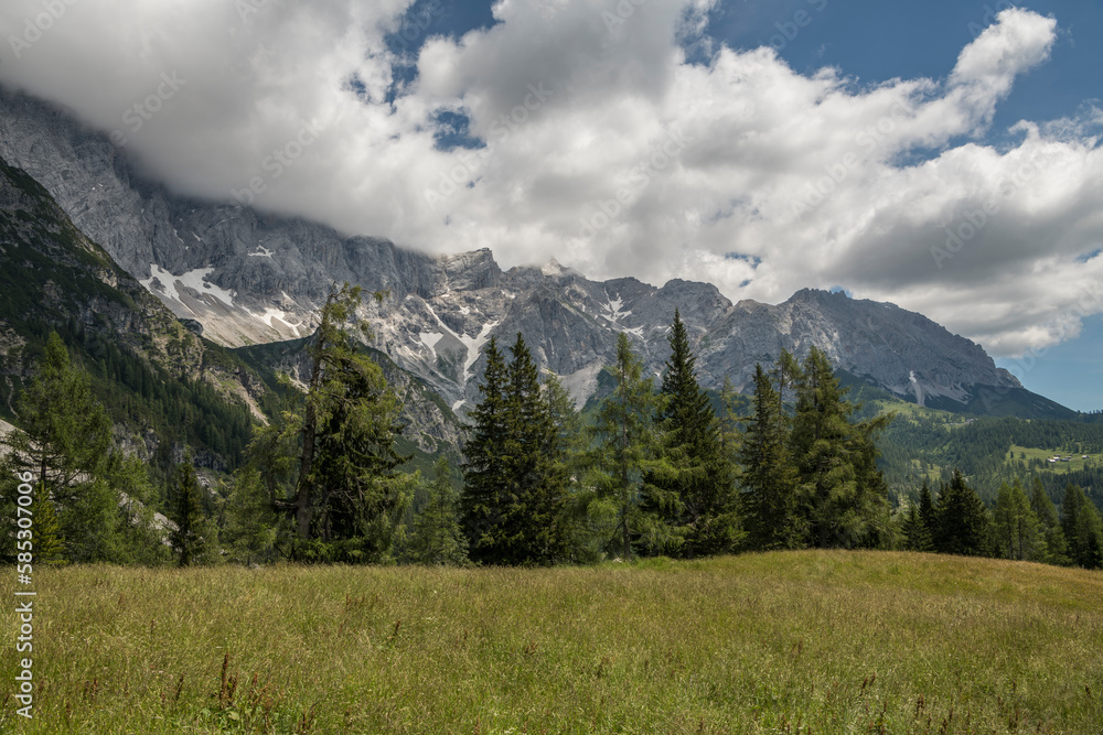 Austrian alpine landscape with a grassy meadow in the foreground and pine trees and mountains in the background. Summer, day, snow.