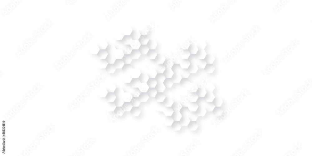 Abstract background with hexagons and Background with hexagons . Abstract background with lines . white texture background . white and hexagon abstract background. white paper texture.