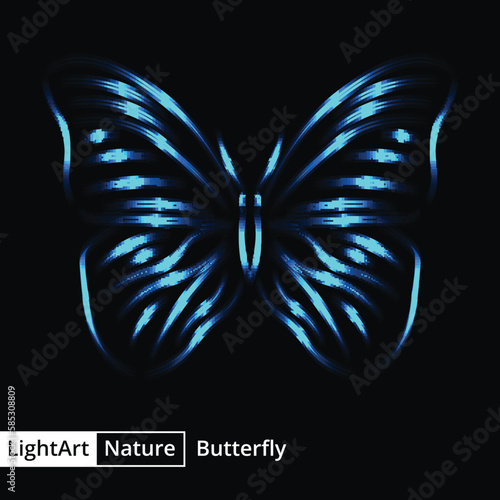 Butterfly silhouette of lights on black background