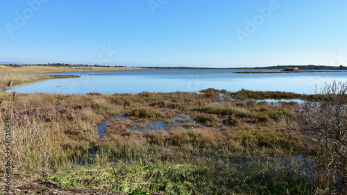 Nature reserve Di Vendicari in Sicily