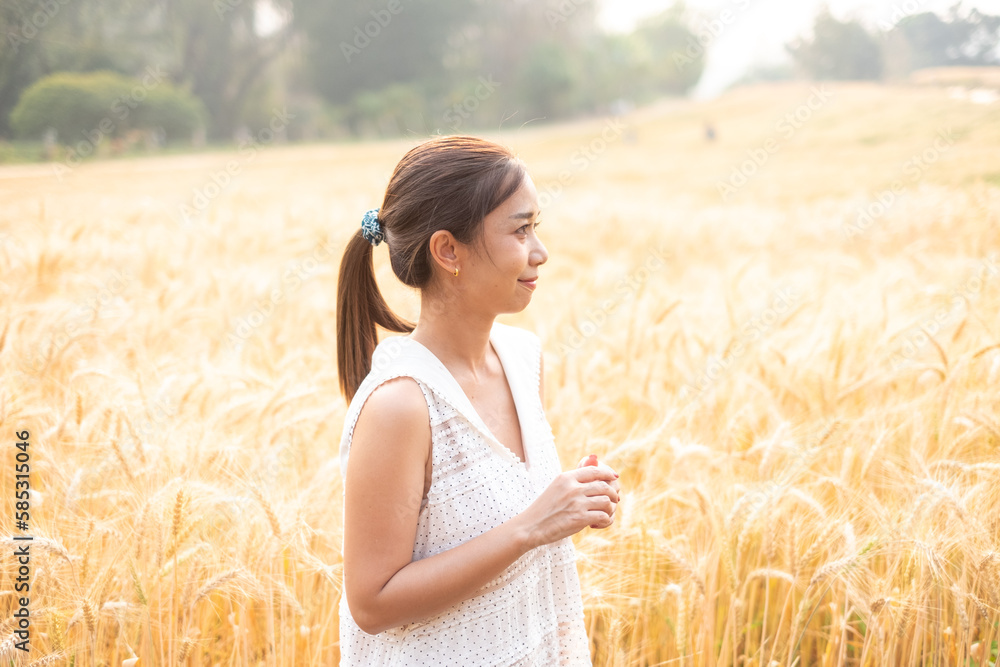 Young Asian women in white dresses standing in the Barley rice field season golden color of the wheat plant at Chiang Mai Thailand Young Asian women in white dresses standing in the Barley rice field season golden color of the wheat plant at Chiang Mai Thailand