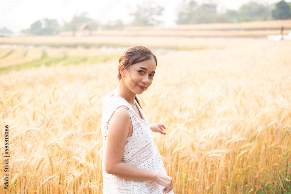 Young Asian women in white dresses standing in the Barley rice field season golden color of the wheat plant at Chiang Mai Thailand Young Asian women in white dresses standing in the Barley rice field season golden color of the wheat plant at Chiang Mai Thailand