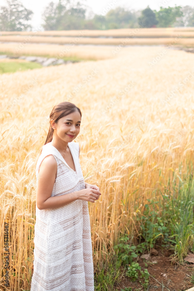 Young Asian women in white dresses standing in the Barley rice field season golden color of the wheat plant at Chiang Mai Thailand Young Asian women in white dresses standing in the Barley rice field season golden color of the wheat plant at Chiang Mai Thailand