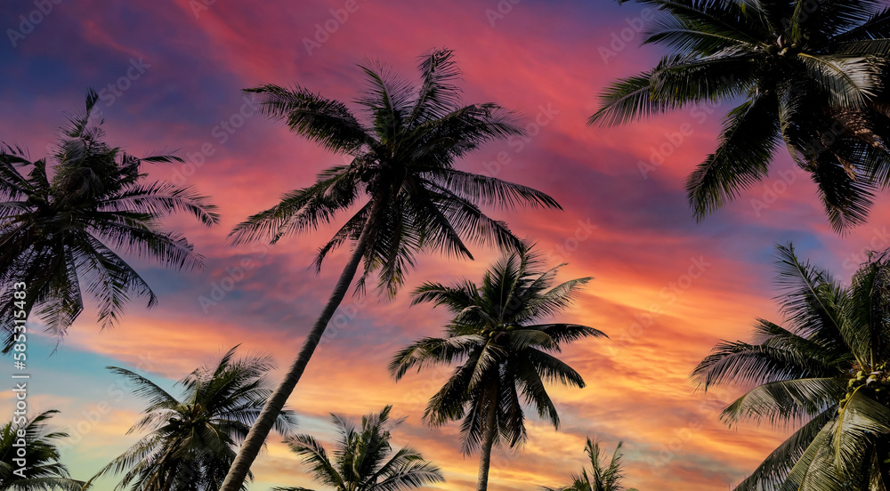 The holiday of Summer with colorful theme as palm trees -sunset scene background The holiday of Summer with colorful theme as palm trees -sunset scene background