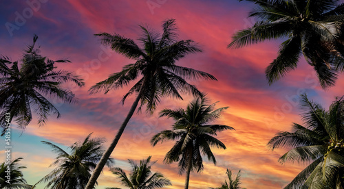 The holiday of Summer with colorful theme as palm trees -sunset scene background