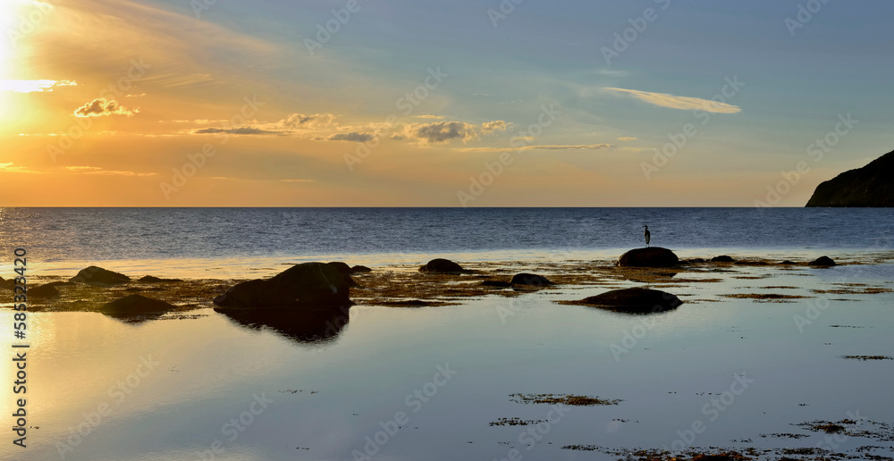 landscape at sunset on the sea of the Suedoise rocky coast with the silhouette of a bird on a rock