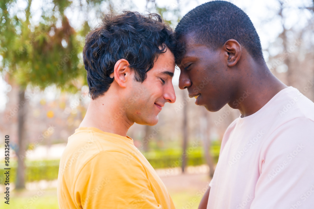 lgbt concept, couple of multiethnic men in a park in a romantic pose under a tree