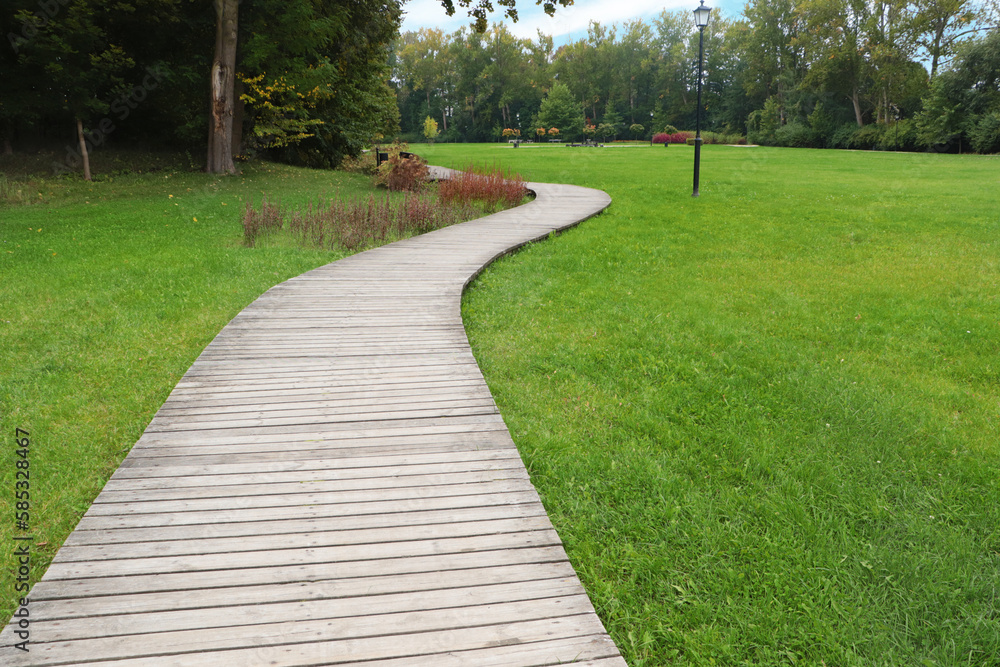 Fototapeta premium Beautiful public city park with pathway and green grass