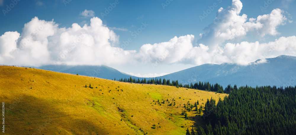 A wonderful summer day with meadows in a mountainous area. Carpathian mountains, Ukraine, Europe.