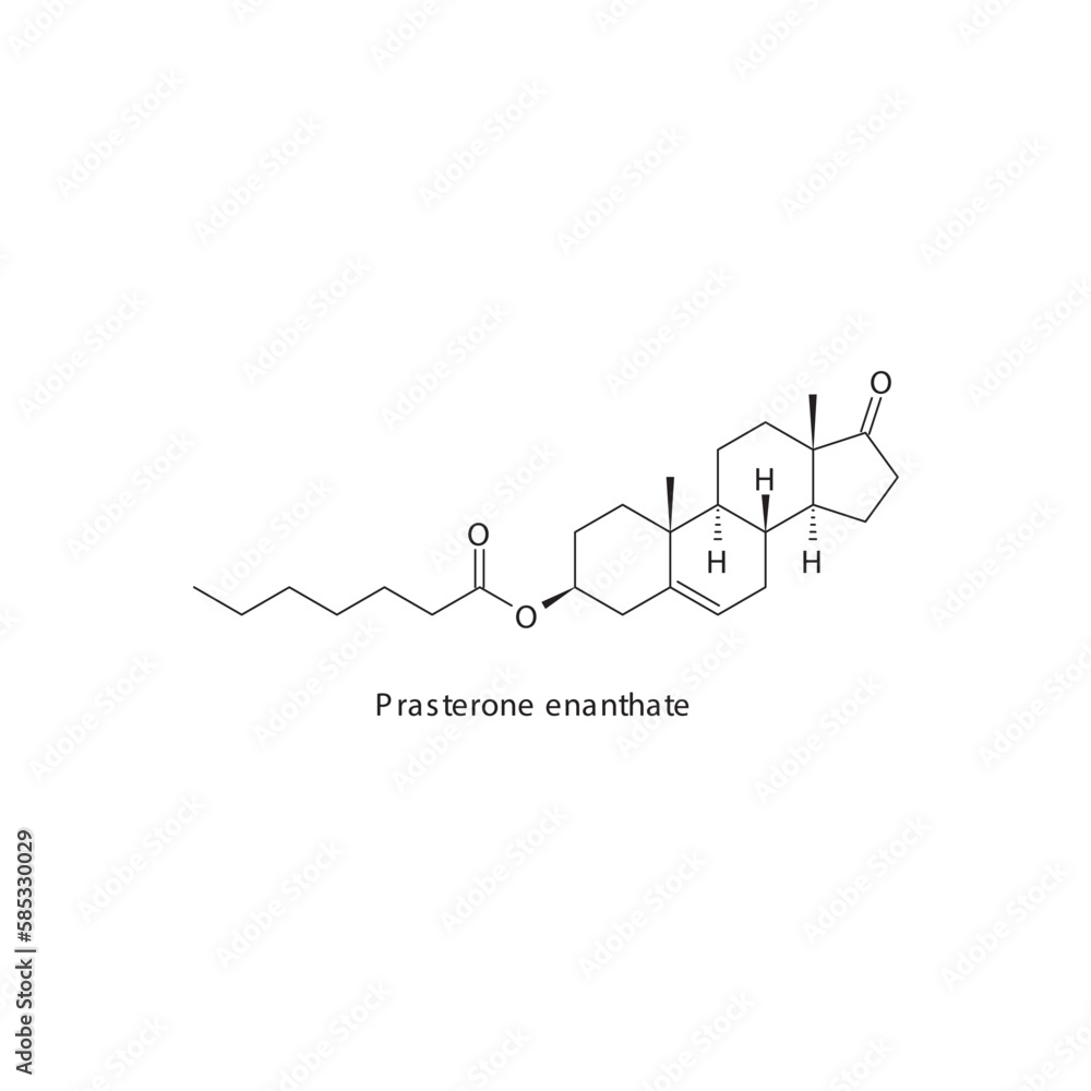 Prasterone enanthate flat skeletal molecular structure Androgen receptor agonist drug used in Adrenal insufficiency treatment. Vector illustration. Prasterone enanthate flat skeletal molecular structure Androgen receptor agonist drug used in Adrenal insufficiency treatment. Vector illustration.