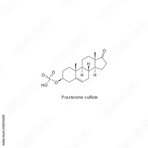 Prasterone sulfate flat skeletal molecular structure Androgen receptor agonist drug used in labor induction treatment. Vector illustration.