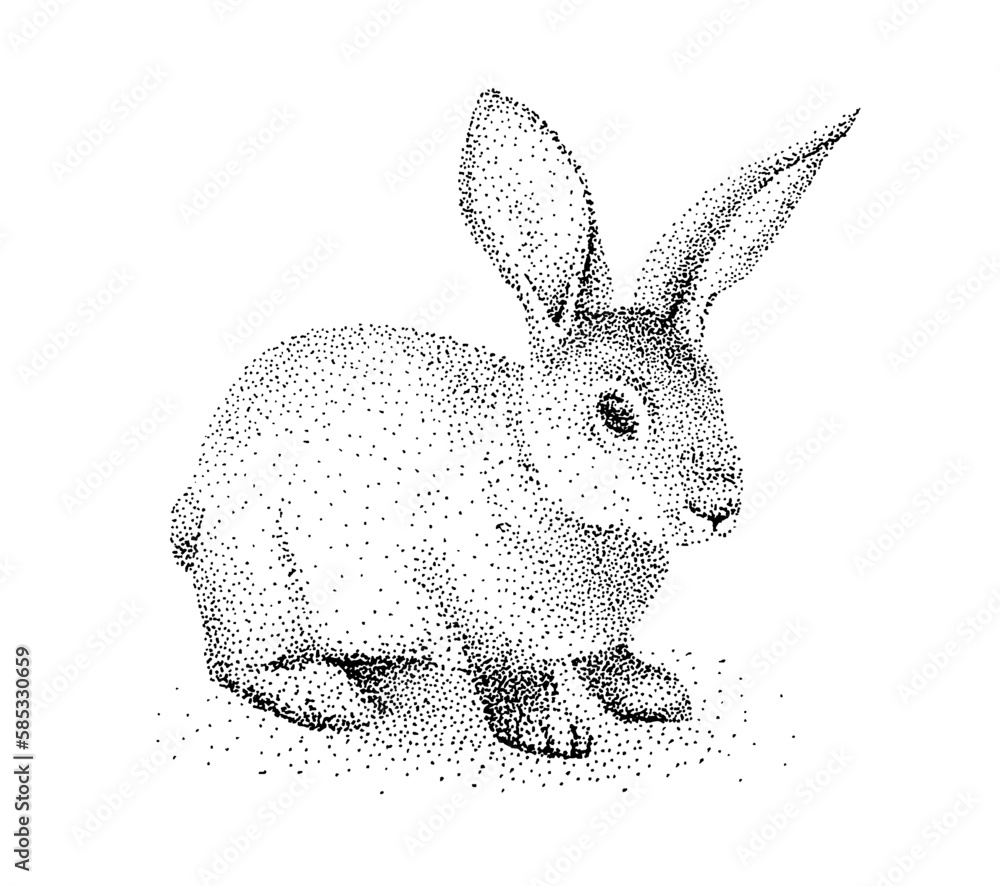 Obraz premium A drawing of a rabbit on a white background