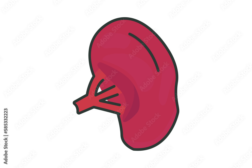 Spleen icon illustration. icon related to human organ. Flat line icon style, lineal color. Simple vector design editable