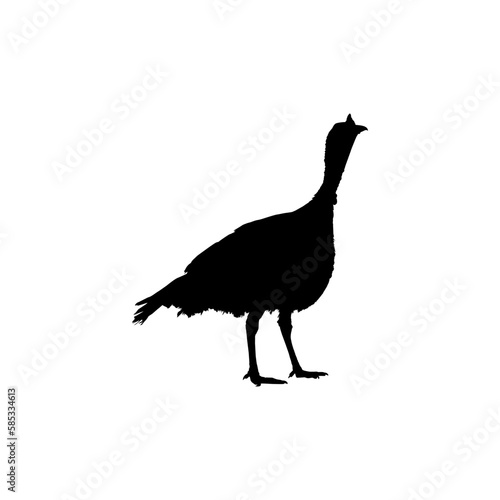 Turkey Silhouette for Art Illustration  Pictogram or Graphic Design Element. The Turkey is a large bird in the genus Meleagris. Vector Illustration