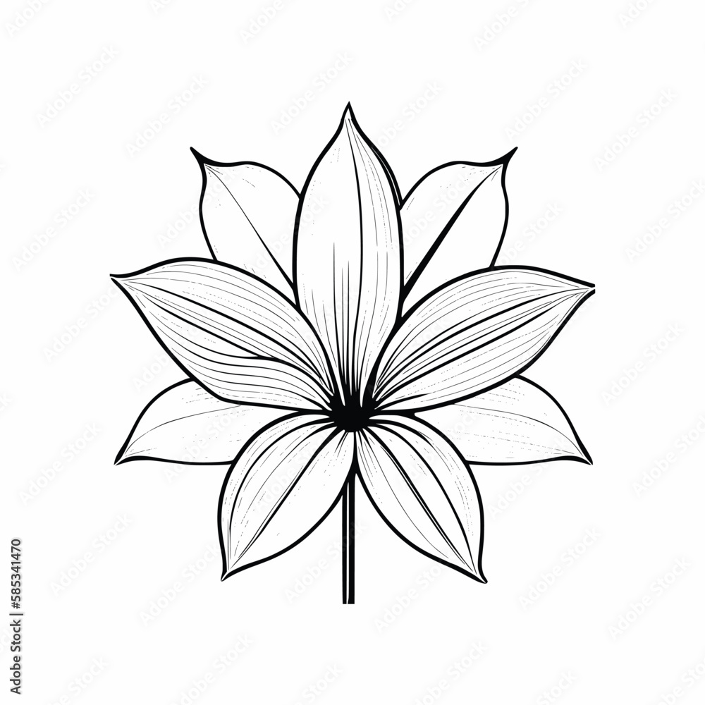 Fototapeta premium Lily flowers coloring books Make Line art, hand-drawn illustrations.Perfect for creating coloring pages, coloring books, enchanting holiday invitations, and other creative projects.