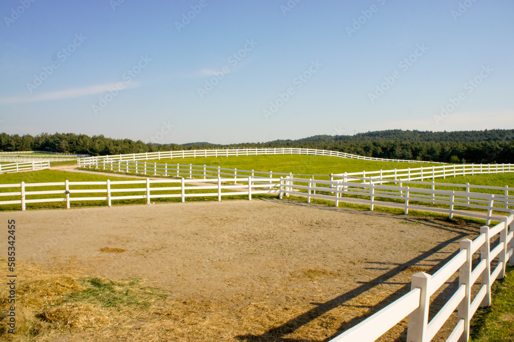 fence in a field