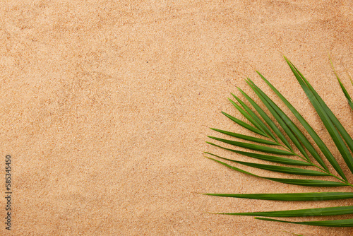 Palm leaf on a sandy beach. Summer natural background. Top view.