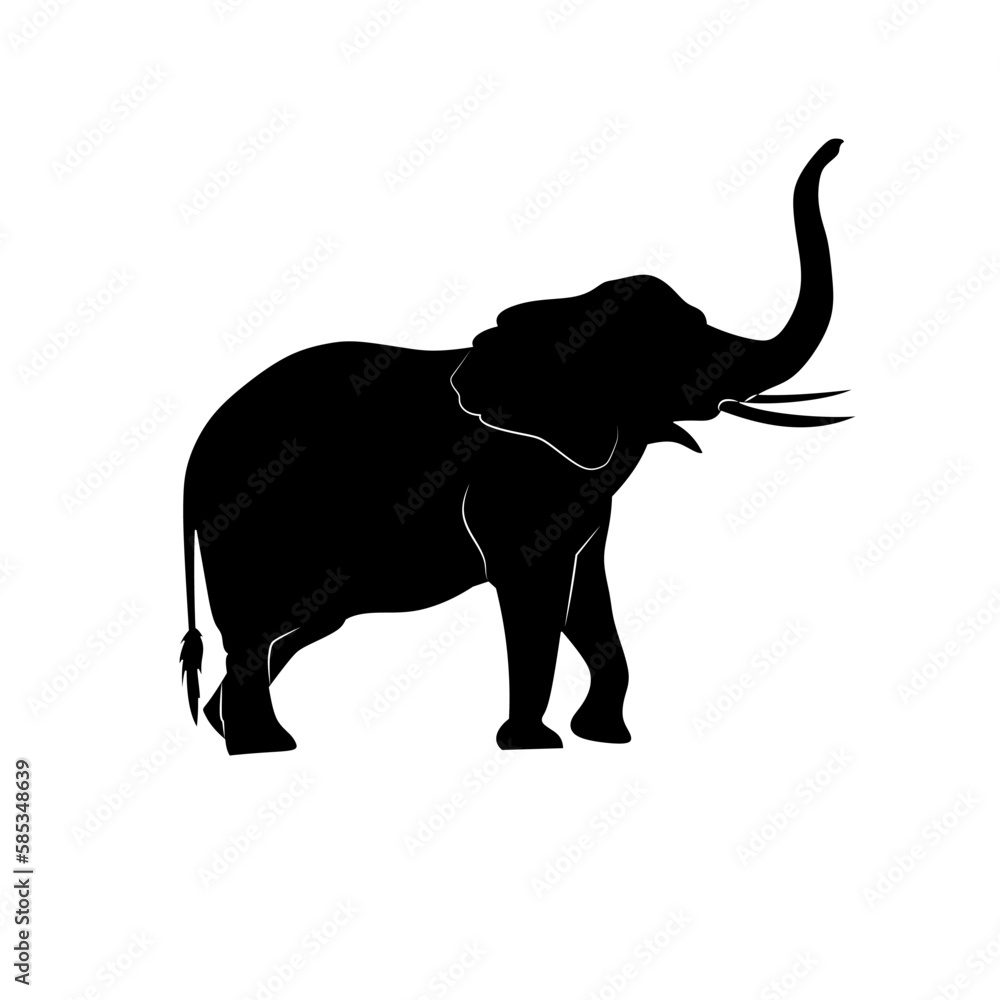 elephant silhouette isolated on white elephant silhouette isolated on white