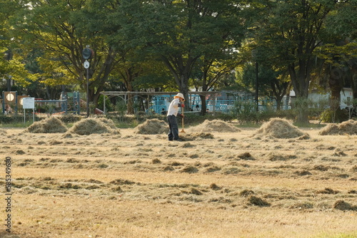 公園の芝刈りをする作業員