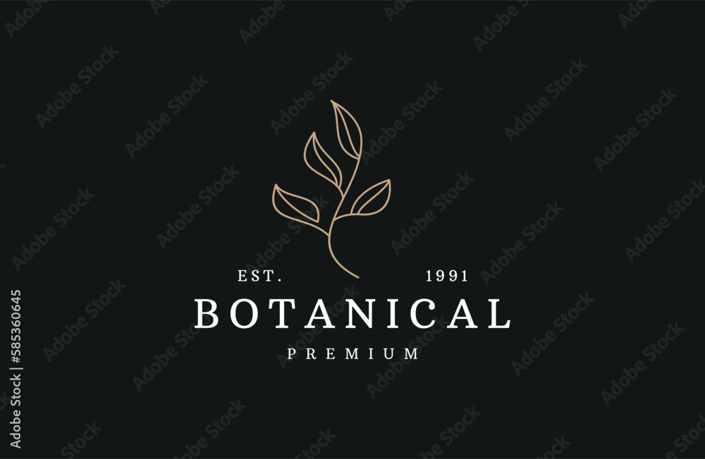 Obraz premium Botanical plant twigs and delicate flowers in boho linear style vector illustration