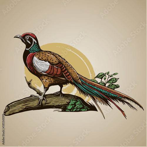 Hand Drawn Exotic Bird on tree branch Vector Illustration (ID: 585361099)