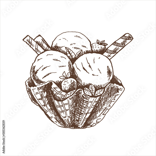 A hand-drawn sketch of  ice cream balls in a waffle basket.Vintage illustration. Element for the design of labels, packaging and postcards.