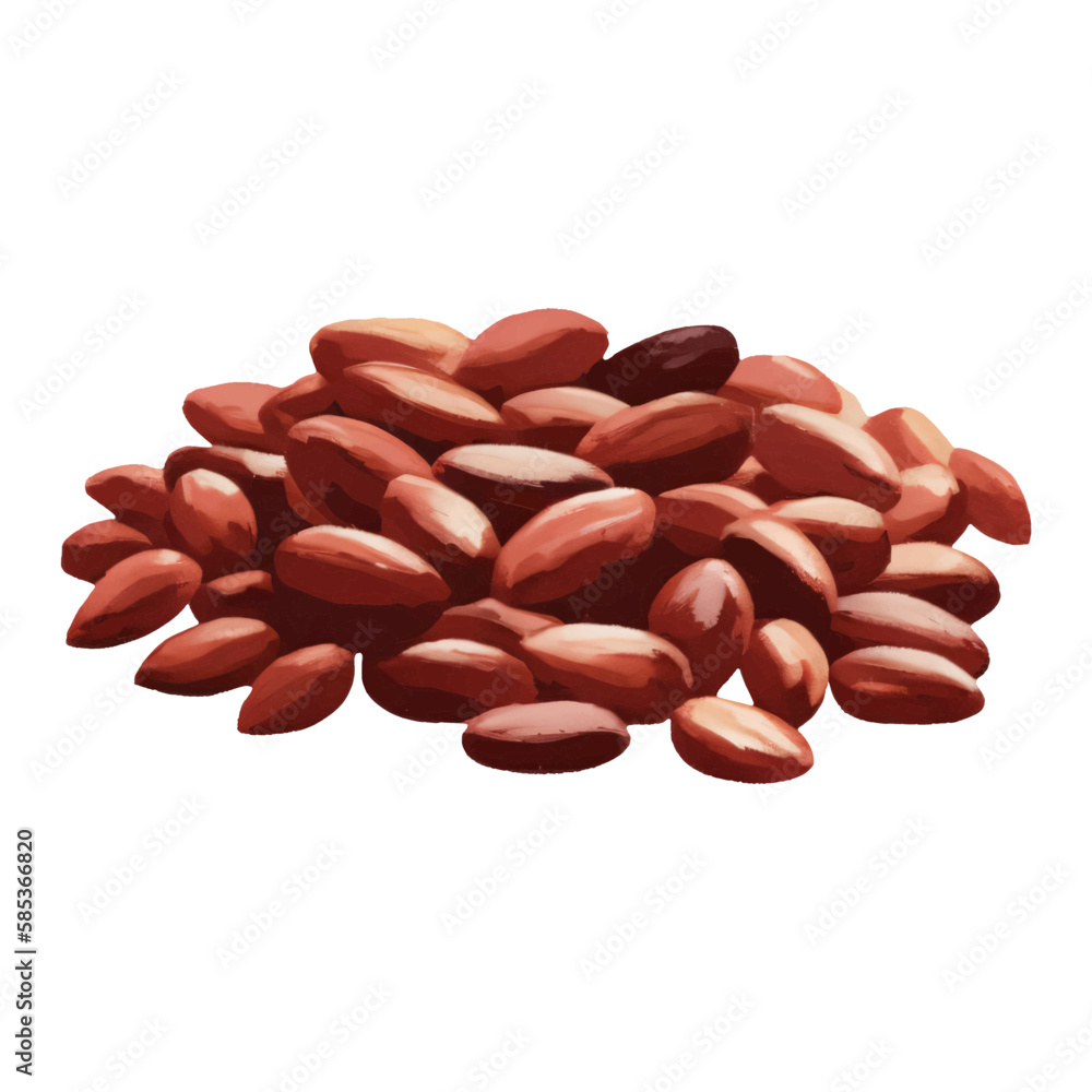 Pile of Cocoa Beans Isolated Hand Drawn Painting Illustration Pile of Cocoa Beans Isolated Hand Drawn Painting Illustration