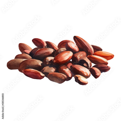 Pile of Cocoa Beans Isolated Hand Drawn Painting Illustration