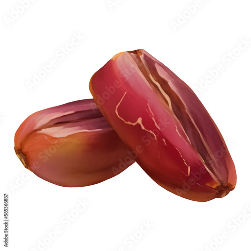 Tasty Dates Fruit Isolated Hand Drawn Painting Illustration