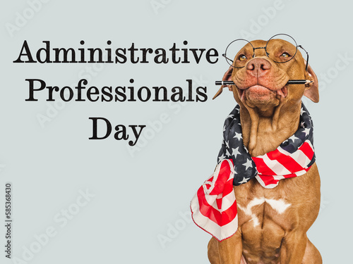 Administrative Professionals Day. Beautiful card with a cute puppy and a congratulatory inscription. Closeup. Congratulations for loved ones, relatives, friends and colleagues