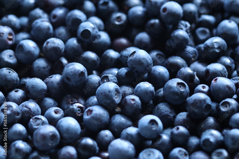 Lots of blueberries in the frame. A bunch of blueberries on the whole screen. Lots of blueberries in the frame. A bunch of blueberries on the whole screen.