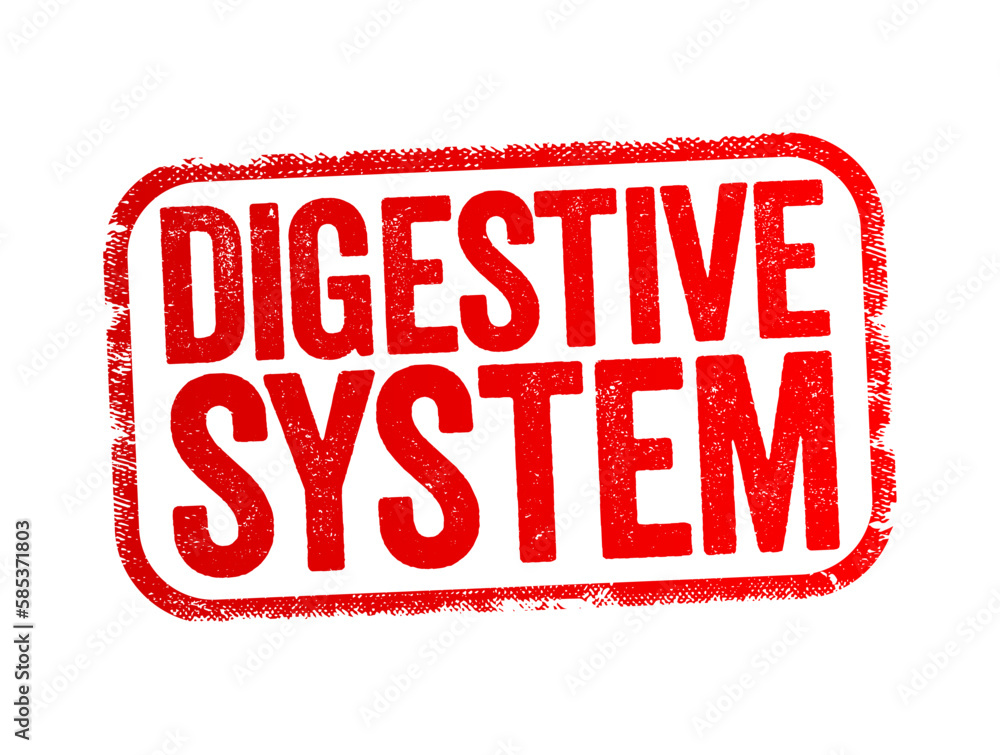 Digestive System consists of the gastrointestinal tract plus the accessory organs of digestion, text stamp concept background Digestive System consists of the gastrointestinal tract plus the accessory organs of digestion, text stamp concept background