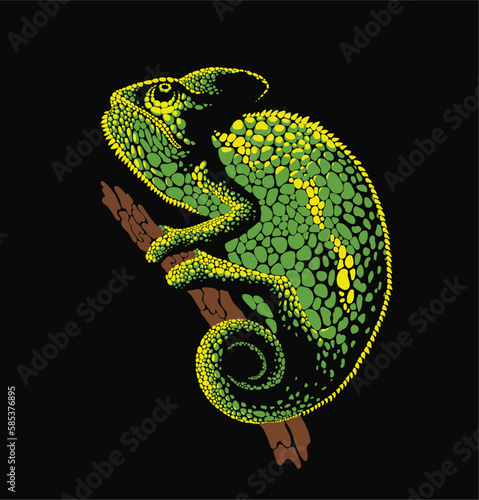 Chameleon Vector Illustration on Black Background