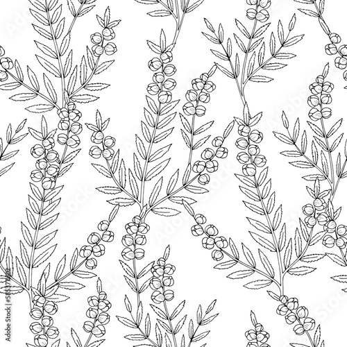 Heather flower seamless pattern background graphic black white sketch illustration vector