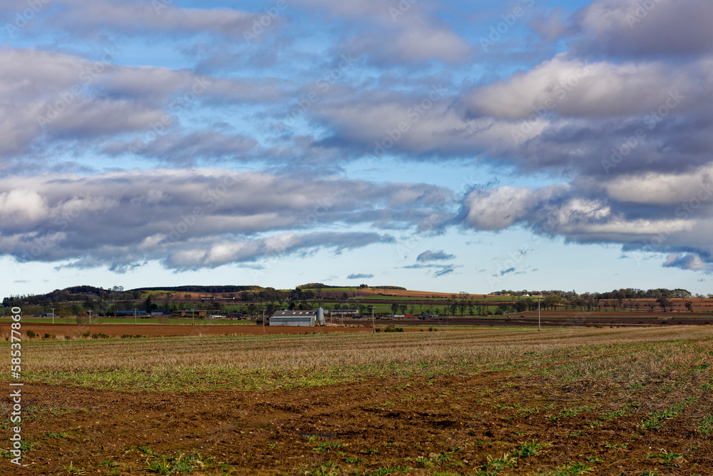 Fototapeta premium The flat Farmland north of Friockheim looking towards Bolshan Hill, with some fields prepared for planting, and various Agricultural buildings.