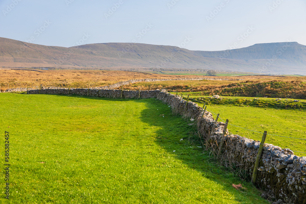View of the green hills in North UK. Ribblehead, Cumbria.