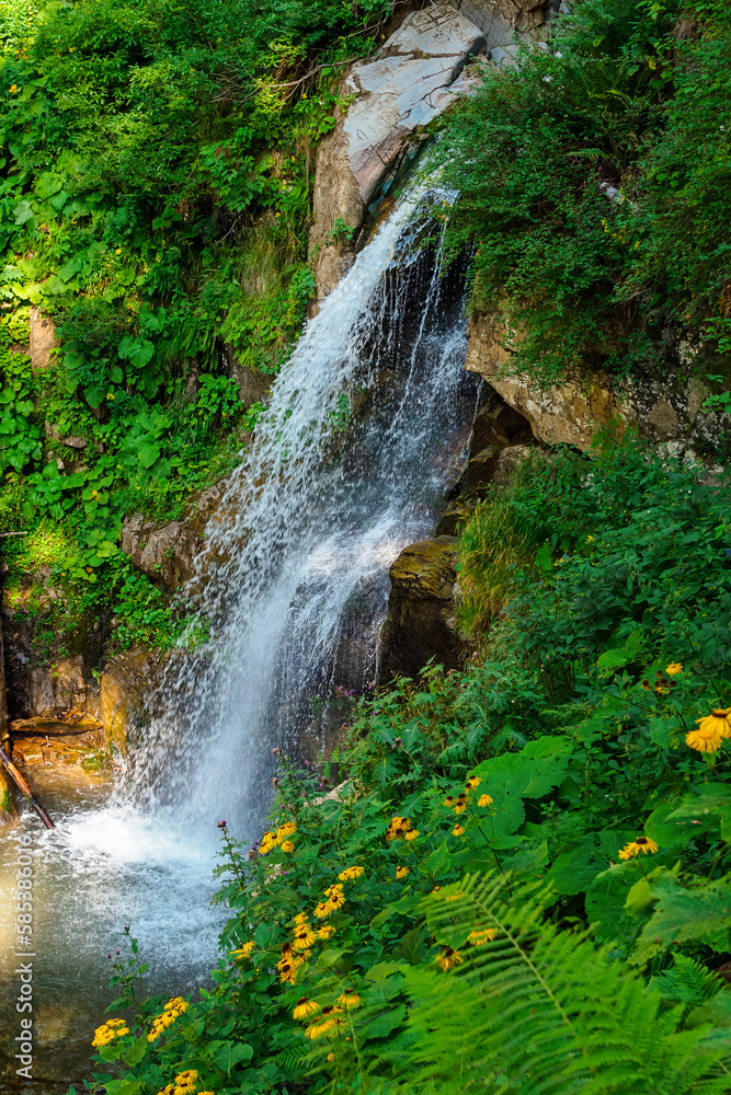 beautiful waterfall in the mountains in summer