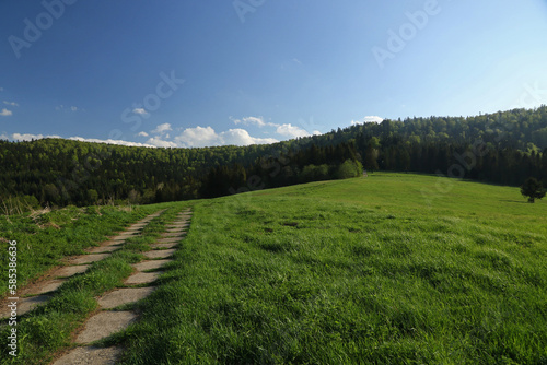 Fototapeta Naklejka Na Ścianę i Meble -  Landscape of Dzwiniacz - former, abandoned village in Bieszczady Mountains, Poland