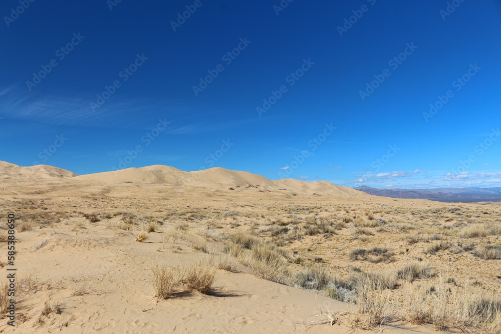 Wüste an den Kelso Dunes in der Mojave Wüste - obrazy, fototapety, plakaty 