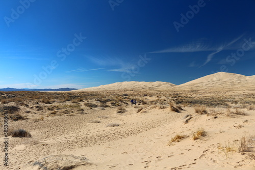 Wüste an den Kelso Dunes in der Mojave Wüste