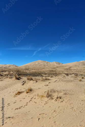 Wüste an den Kelso Dunes in der Mojave Wüste