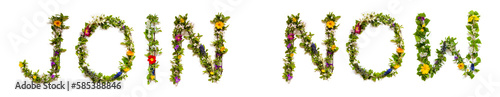 Fototapeta Naklejka Na Ścianę i Meble -  Colorful Blooming Flower Letters Building Word Join Now