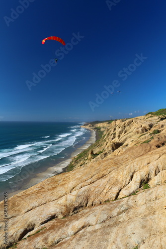 Black's Beach in San Diego, Kalifornien (California), USA