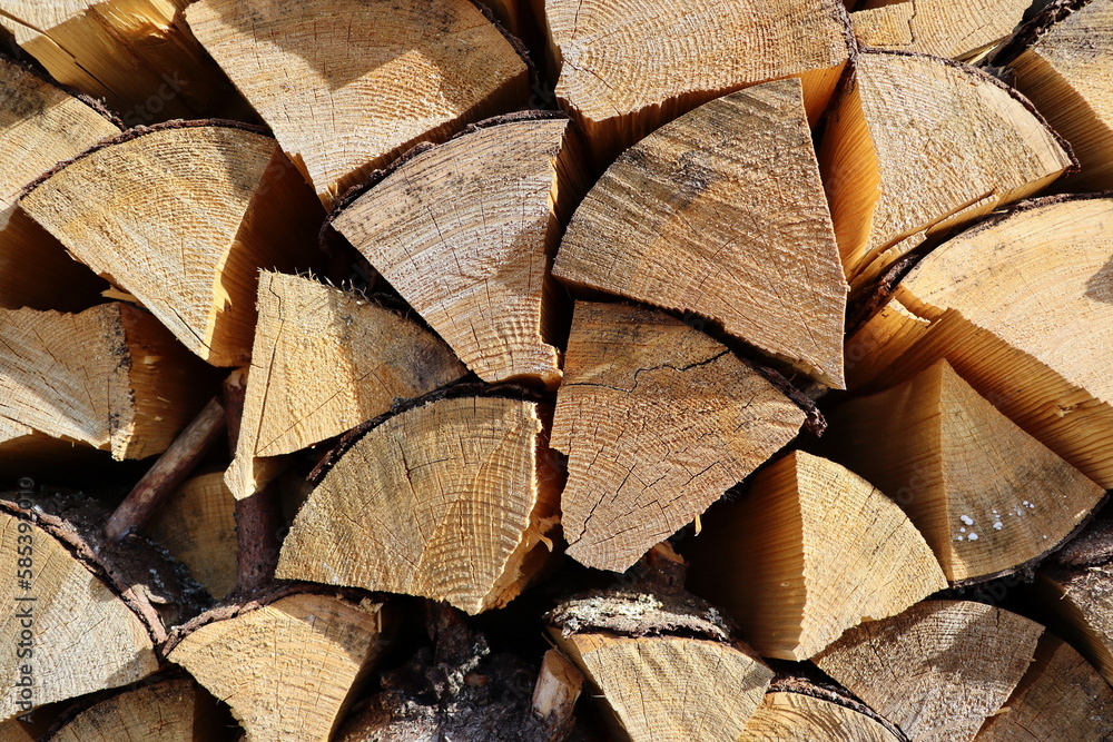 Chopped and stacked up dry firewood at the countryside. Stock pile of timber, chopped down trees Chopped and stacked up dry firewood at the countryside. Stock pile of timber, chopped down trees