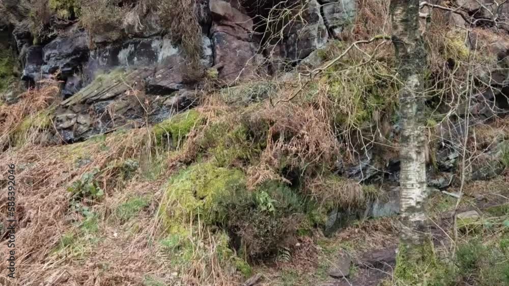 National Park Peak District March 2023 UK, walk to the Luds Church.